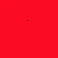 Feminism Cancel GIF by INTO ACTION