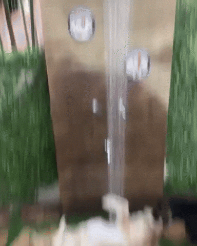 Dog Mood GIF by JustViral.Net