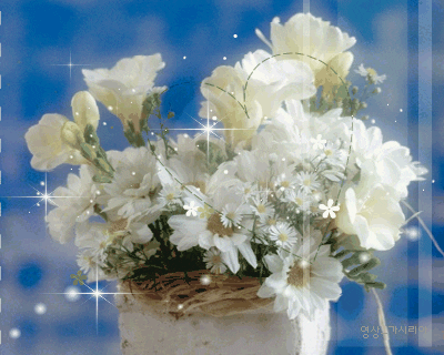 flowers GIF