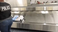 Baggage Claim Dog GIF by Emo Nite