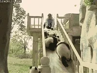 Slide GIF by Cheezburger