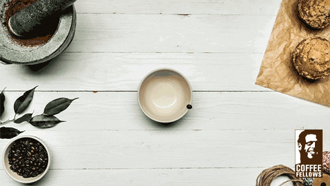 CoffeeFellows  GIF