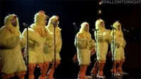 Jimmy Fallon Lol GIF by The Tonight Show Starring Jimmy Fallon