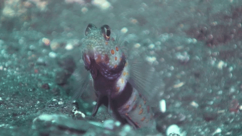 WeAreWater  GIF