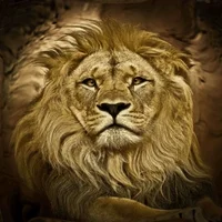 Lion Distort GIF by Psyklon