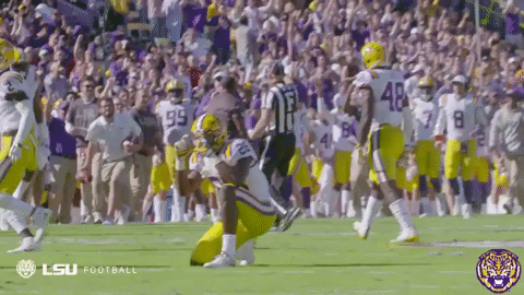 College Sports Sport GIF by LSU Tigers