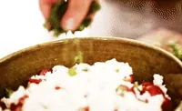 Cheese GIF