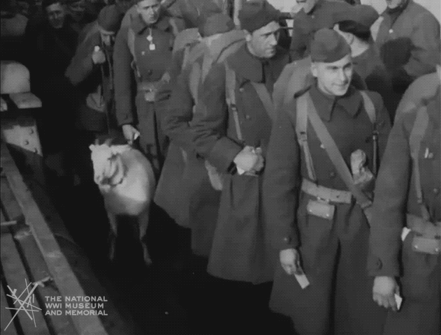 NationalWWIMuseum  GIF