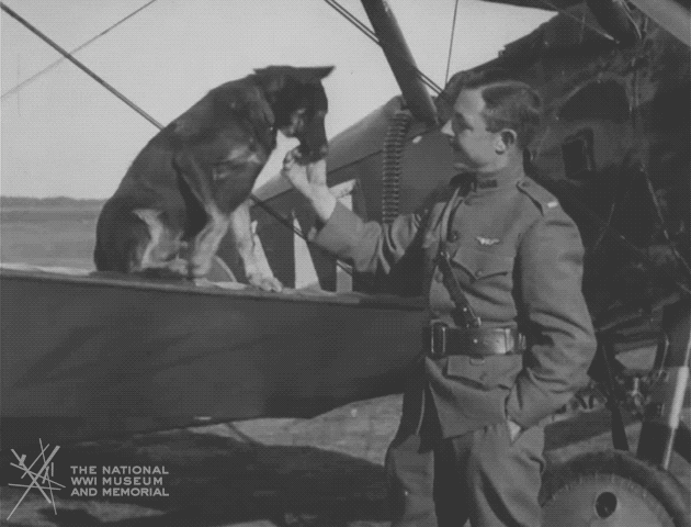 NationalWWIMuseum  GIF