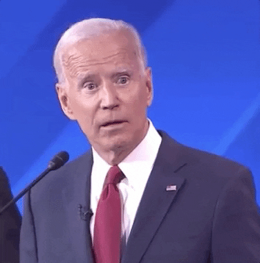 Come On Disbelief GIF by GIPHY News