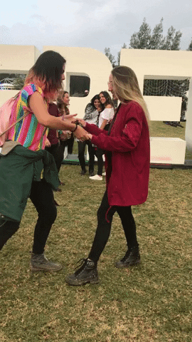 ShockCo  GIF