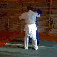 Inspiration Judo GIF by My Next Games