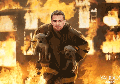 Firefighters rescue puppies from burning house