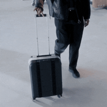 dbjourneygifs travel bag ski journey GIF