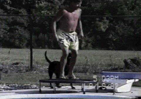 home video GIF by America's Funniest Home Videos