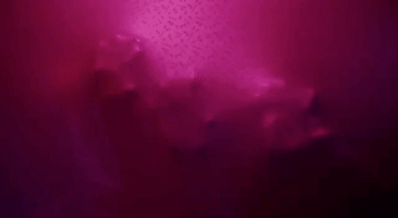 music video guys my age GIF by Hey Violet