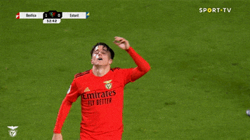 Angry Sl Benfica GIF by Sport Lisboa e Benfica