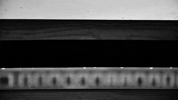 black and white loop GIF by A. L. Crego