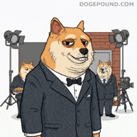 Shiba Inu Crying GIF by Doge Pound
