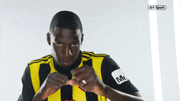 premier league football GIF by BT Sport