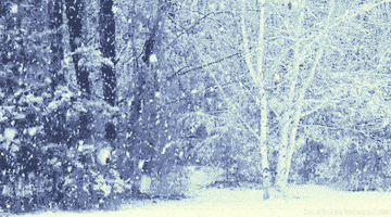 snow snowing GIF