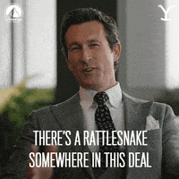 Paramount Network GIF by Yellowstone