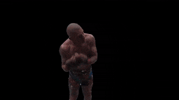 Alex Pereira GIF by Guitarjamz