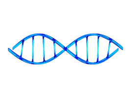 double helix animation GIF by Matthew Butler