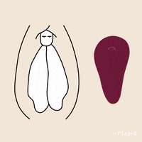 Sexy Animation GIF by Untepid