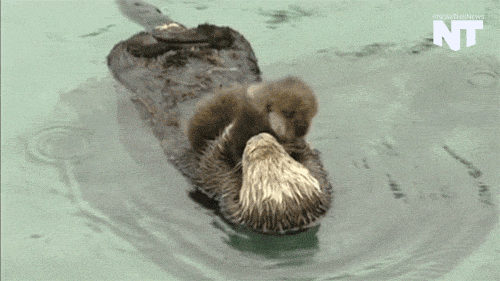Look At Them Now This News GIF by NowThis
