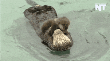 Look At Them Now This News GIF by NowThis