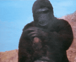 Halloween GIF Halloween GIF