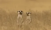 My Love Reaction GIF by i-love-you via giphy.com