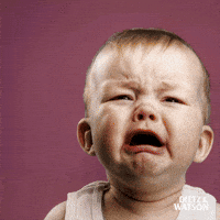 Cheddar Cheese Crying GIF by Dietz & Watson Cheddar Cheese Crying GIF by Dietz & Watson