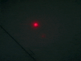 x files GIF by The X-Files