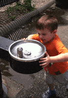 Water Fail GIF by America's Funniest Home Videos