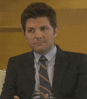 parks and recreation GIF