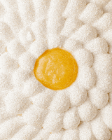 GIF by Cedric Grolet