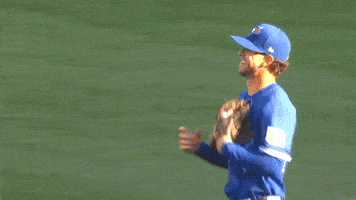 Blue Jays Hello GIF by Toronto Blue Jays