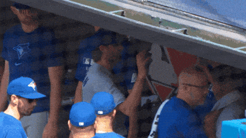 Blue Jays Hug GIF by Toronto Blue Jays