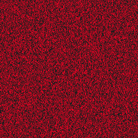 Limited Edition Wtf GIF by XCOPY