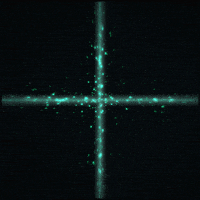 gif artist glow GIF by Erica Anderson