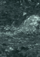 water landscape GIF by Head Like an Orange