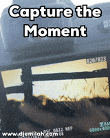 Presence Be Present GIF by Djemilah Birnie