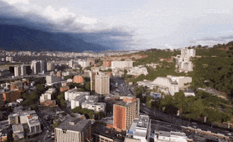 viceland GIF by STATES OF UNDRESS