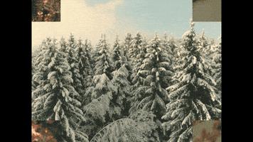 Christmas Tree GIF by Sierra Ferrell