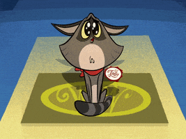 Cat Kitty GIF by Taffy