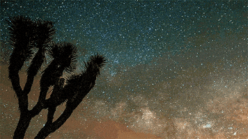 huffington post space GIF by HuffPost