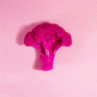 stop motion bubblegum GIF by Evan Hilton