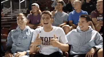 Thumbs Up Good Job GIF by Roanoke College